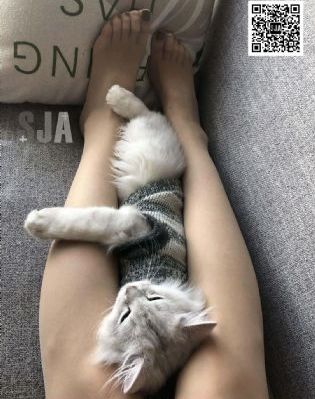 强开小雪的嫩苞又嫩又紧视频在线_4K免费高清观看